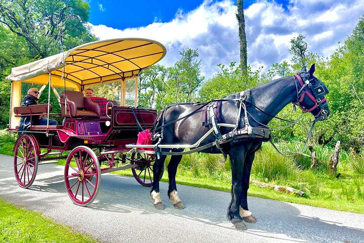 Tradisjonell Jaunting-bil-tur gjennom Killarney nasjonalpark, Irland, som viser innsjøer og fjell, foto 19 | wizardtrip