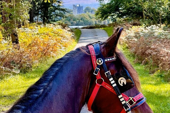 Tradisjonell Jaunting-bil-tur gjennom Killarney nasjonalpark, Irland, som viser innsjøer og fjell, foto 20 | wizardtrip