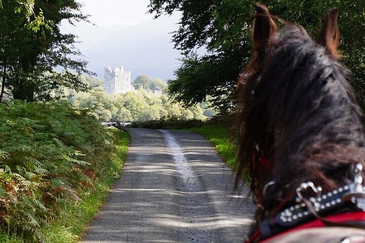 Tradisjonell Jaunting-bil-tur gjennom Killarney nasjonalpark, Irland, som viser innsjøer og fjell, foto 21 | wizardtrip