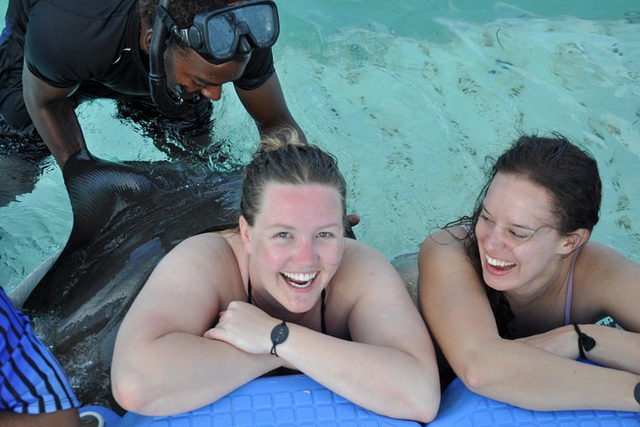 Nyd et spændende parasailing- og snorkel-krydstogteventyr i Punta Cana, Dominikanske Republik, foto 11 | wizardtrip