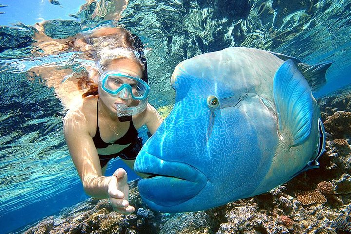 Punta Cana Combo Tour: Snorkling, Katamarantur & Parasailing | wizardtrip