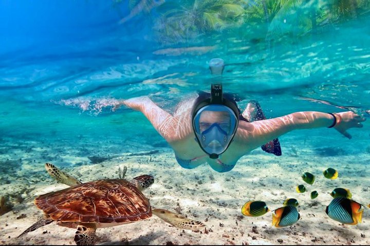 パラセーリング、カタマランクルーズ、海洋生物とのシュノーケリングをフィーチャーしたプンタカナのコンボツアー、写真6 | wizardtrip