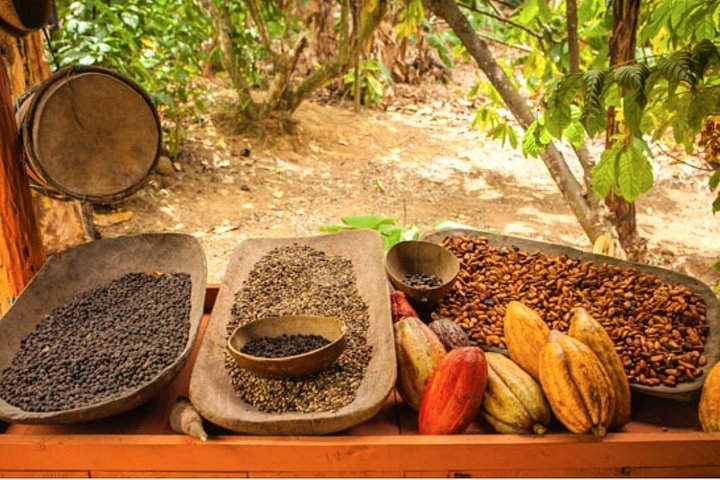 Experience a thrilling 4x4 adventure in Punta Cana, Dominican Republic, with ATV riding, local tastings, and beach relaxation, photo 7 | wizardtrip