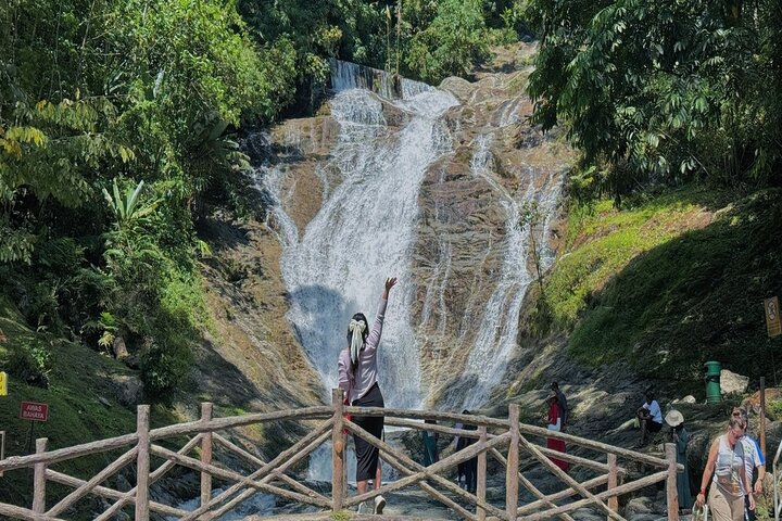 Cameron Highlands with Lunch Guided Day Tour (SIC/Shared Tour) | wizardtrip