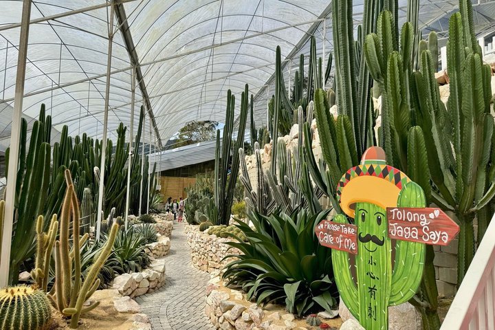 Geführte Tagestour zu den Cameron Highlands, Malaysia, mit Teeplantagen, Märkten und Wasserfällen, Foto 7 | wizardtrip