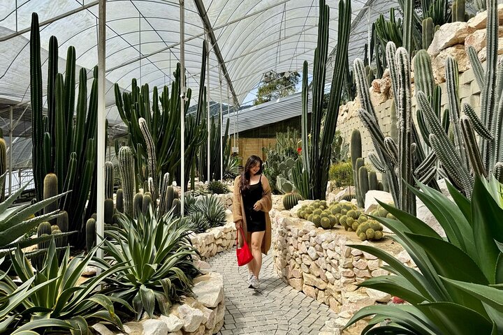 Geführte Tagestour zu den Cameron Highlands, Malaysia, mit Teeplantagen, Märkten und Wasserfällen, Foto 9 | wizardtrip