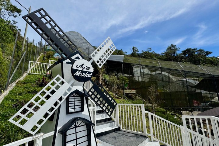 Geführte Tagestour zu den Cameron Highlands, Malaysia, mit Teeplantagen, Märkten und Wasserfällen, Foto 10 | wizardtrip