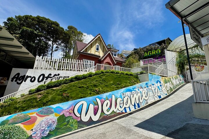 Geführte Tagestour zu den Cameron Highlands, Malaysia, mit Teeplantagen, Märkten und Wasserfällen, Foto 11 | wizardtrip