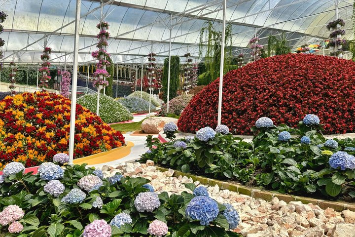 Geführte Tagestour zu den Cameron Highlands, Malaysia, mit Teeplantagen, Märkten und Wasserfällen, Foto 13 | wizardtrip