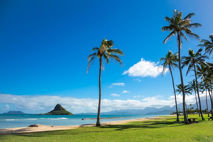 Heldagstur rundt Oahu med snorkling, Dole Plantation og naturskjønne utsikter, foto 6 | wizardtrip
