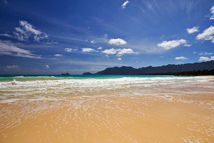 Heldagstur rundt Oahu med snorkling, Dole Plantation og naturskjønne utsikter, foto 7 | wizardtrip