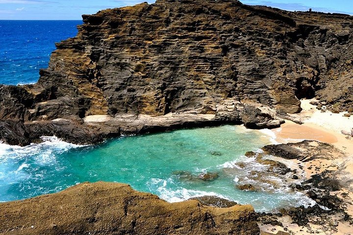 Heldagstur rundt Oahu med snorkling, Dole Plantation og naturskjønne utsikter, foto 9 | wizardtrip