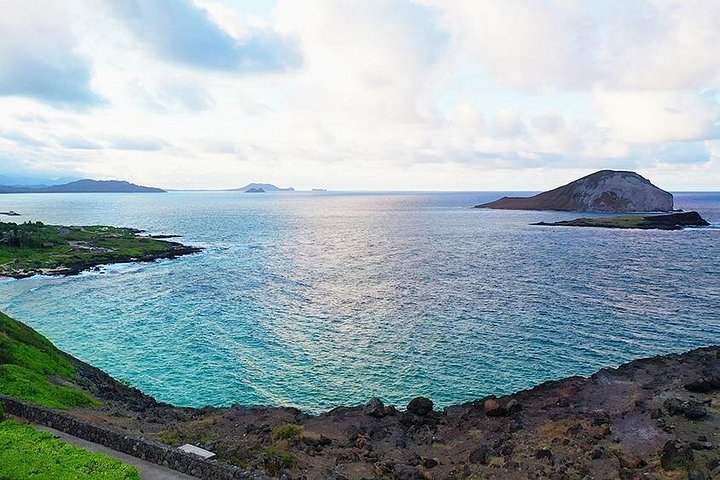Heldagstur rundt Oahu med snorkling, Dole Plantation og naturskjønne utsikter, foto 10 | wizardtrip