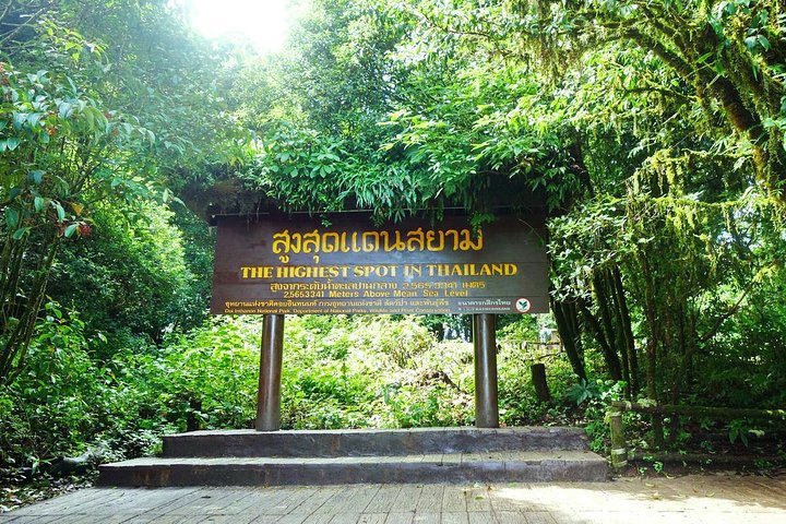 Erkunden Sie den Doi Inthanon Nationalpark, Wasserfälle und königliche Pagoden auf einer Kleingruppentour von Chiang Mai, Thailand, Foto 11 | wizardtrip