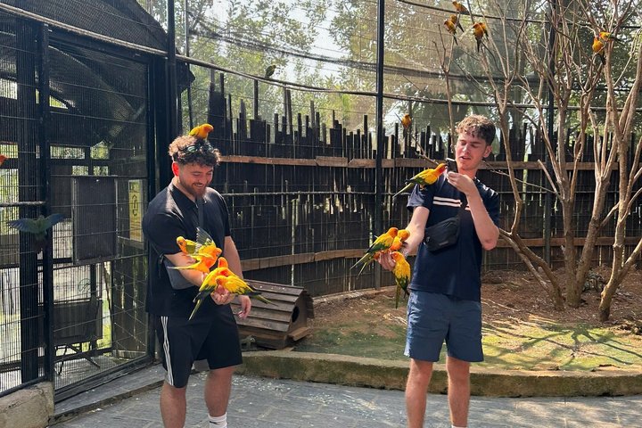 Heldagstur i Da Lat med Alpine Coaster, Rainbow Slide, Luge Kart, Crazy House og blomsterhaver, foto 8 | wizardtrip