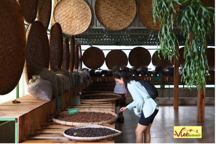 En naturskøn tur til Da Lat's vandfald, landskaber og kulturelle steder i Vietnam, foto 25 | wizardtrip