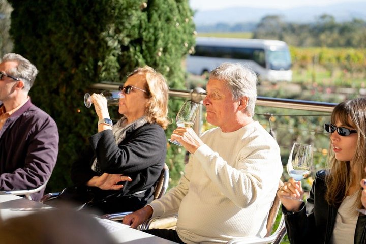 Yarra Valley wine and gin tour from Melbourne with tastings and scenic views, photo 7 | wizardtrip