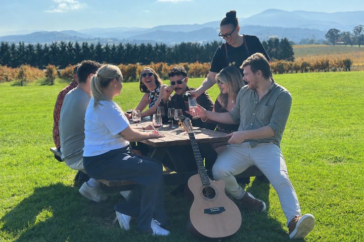 Yarra Valley wine and gin tour from Melbourne with tastings and scenic views, photo 18 | wizardtrip