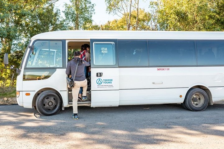 Yarra Valley wine and gin tour from Melbourne with tastings and scenic views, photo 23 | wizardtrip