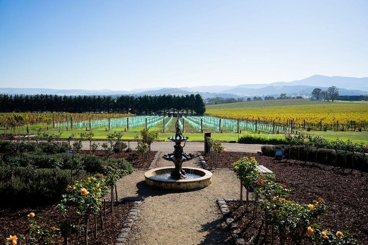 Yarra Valley wine and gin tour from Melbourne with tastings and scenic views, photo 25 | wizardtrip
