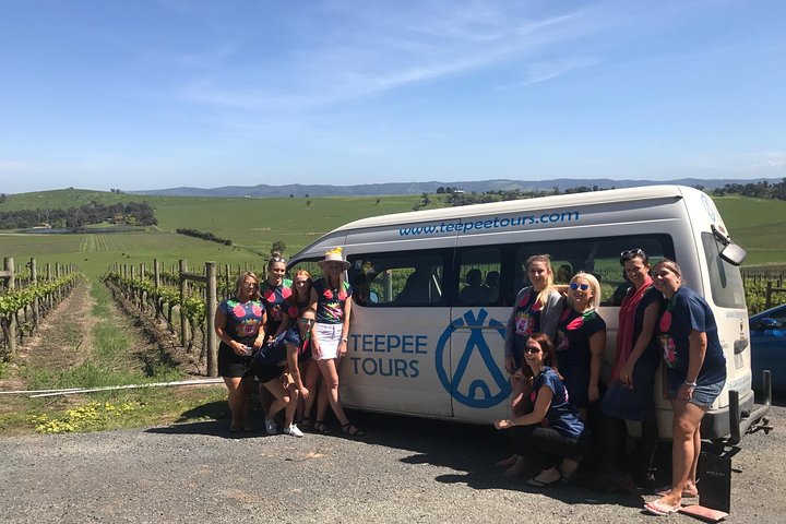 Yarra Valley wine and gin tour from Melbourne with tastings and scenic views, photo 30 | wizardtrip