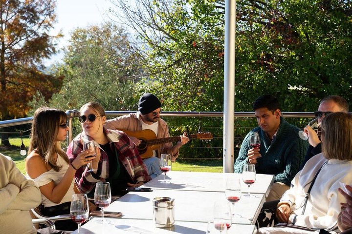 Yarra Valley wine and gin tour from Melbourne with tastings and scenic views, photo 33 | wizardtrip