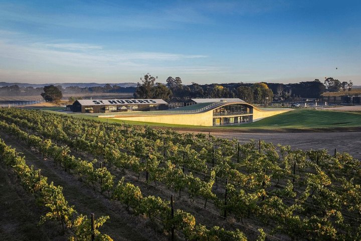 Yarra Valley wine and gin tour from Melbourne with tastings and scenic views, photo 35 | wizardtrip