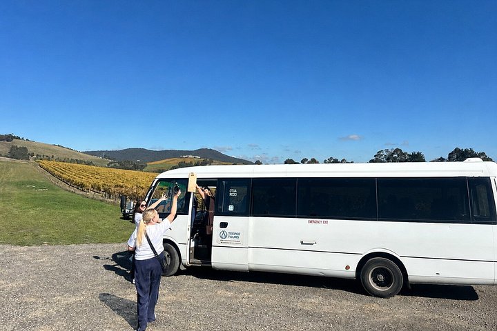 Yarra Valley wine and gin tour from Melbourne with tastings and scenic views, photo 39 | wizardtrip