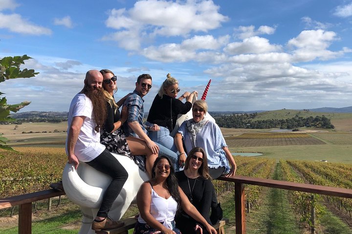 Yarra Valley wine and gin tour from Melbourne with tastings and scenic views, photo 43 | wizardtrip