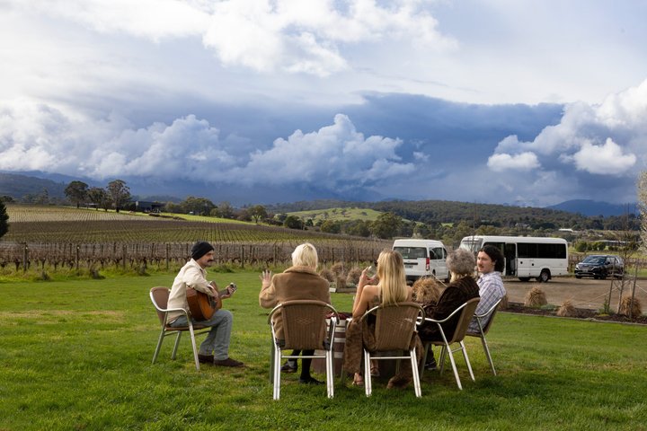 Yarra Valley wine and gin tour from Melbourne with tastings and scenic views, photo 44 | wizardtrip