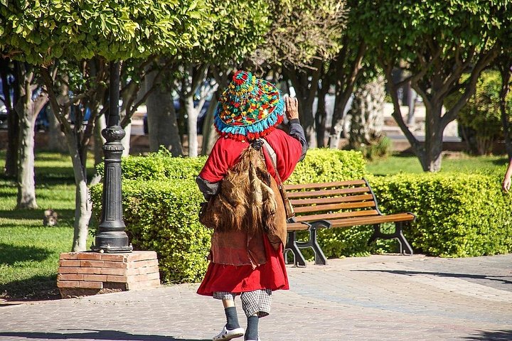 オーディオガイド付きでマラケシュのメディナ、スーク、史跡を巡るプライベート・トゥクトゥクツアー、写真8 | wizardtrip