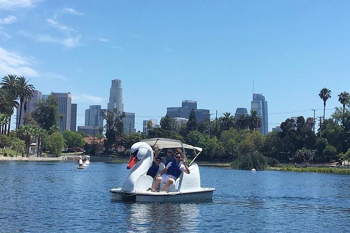 Båtutleie med svanebåt i Echo Park | wizardtrip