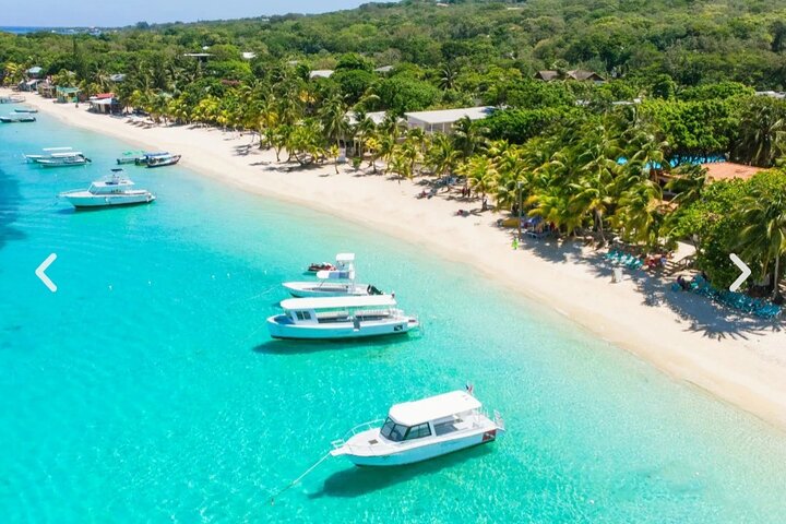 Pause plage à West Bay / Sanctuaire des singes et paresseux | wizardtrip