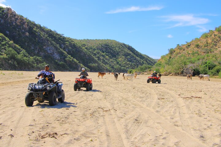 Opplev et ATV-eventyr fra ørken til strand i Cabo, inkludert tequila-smaking, foto 13 | wizardtrip