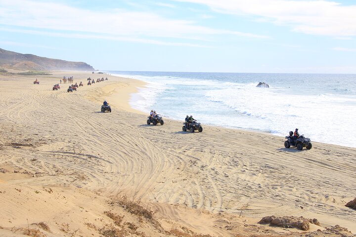 Opplev et ATV-eventyr fra ørken til strand i Cabo, inkludert tequila-smaking, foto 19 | wizardtrip