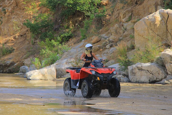 Opplev et ATV-eventyr fra ørken til strand i Cabo, inkludert tequila-smaking, foto 30 | wizardtrip