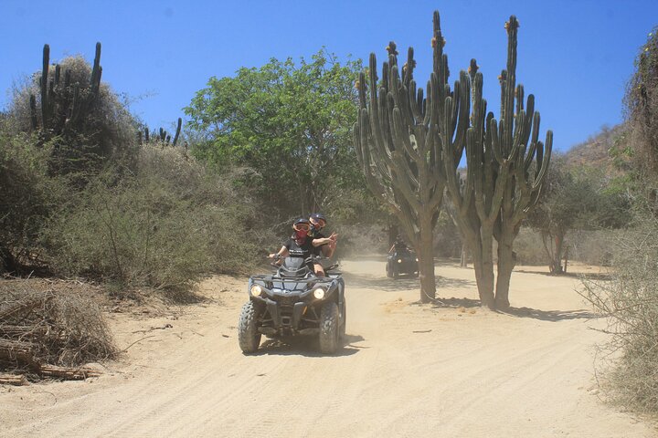 ATV-tur gennem ørken- og strandlandskaber i Los Cabos, Mexico, foto 8 | wizardtrip
