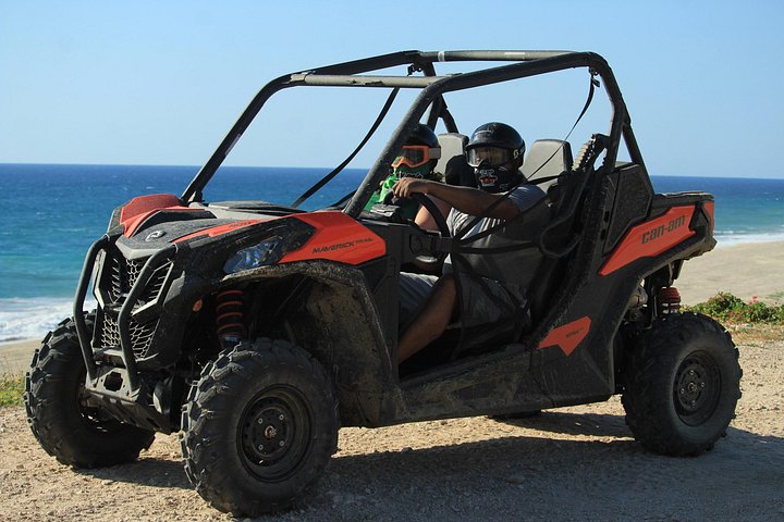 Excursion UTV sur la plage et dans le désert de Cabo Migrino avec dégustation de tequila | wizardtrip