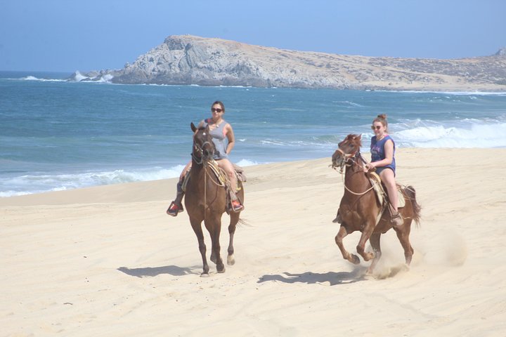 Giro a Cavallo sulla Sabbia Bianca di Cabo e Degustazione di Tequila | wizardtrip