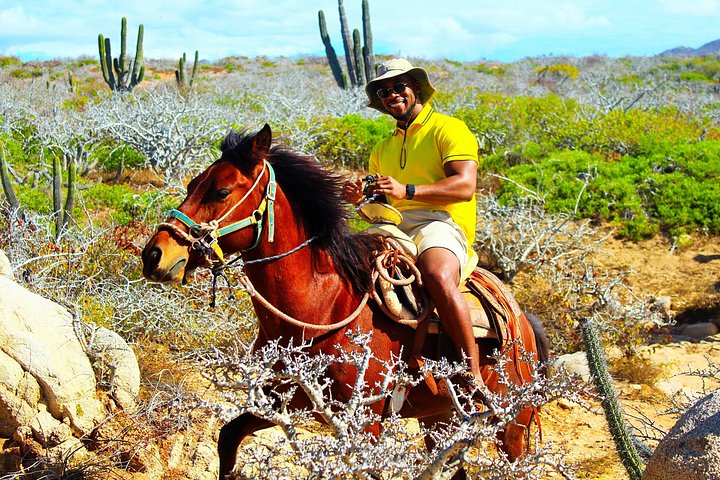 Paardrijtour op het strand in Cabo San Lucas met tequila proeverij, foto 8 | wizardtrip