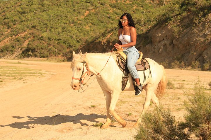 Paardrijtour op het strand in Cabo San Lucas met tequila proeverij, foto 10 | wizardtrip