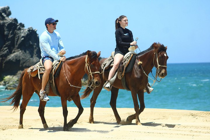 Paardrijtour op het strand in Cabo San Lucas met tequila proeverij, foto 12 | wizardtrip