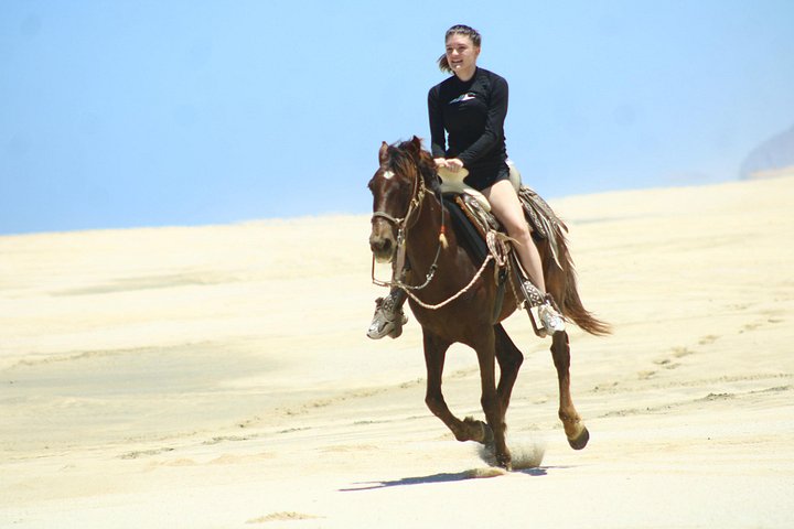 Paardrijtour op het strand in Cabo San Lucas met tequila proeverij, foto 14 | wizardtrip