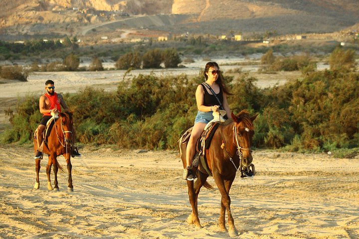 Paardrijtour op het strand in Cabo San Lucas met tequila proeverij, foto 16 | wizardtrip
