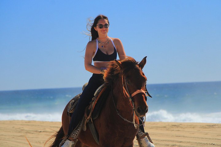 Paardrijtour op het strand in Cabo San Lucas met tequila proeverij, foto 19 | wizardtrip