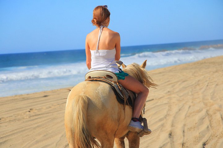 Paardrijtour op het strand in Cabo San Lucas met tequila proeverij, foto 20 | wizardtrip