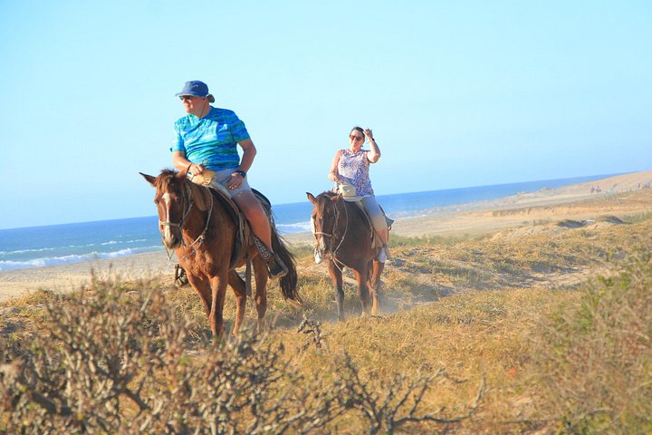 Paardrijtour op het strand in Cabo San Lucas met tequila proeverij, foto 22 | wizardtrip