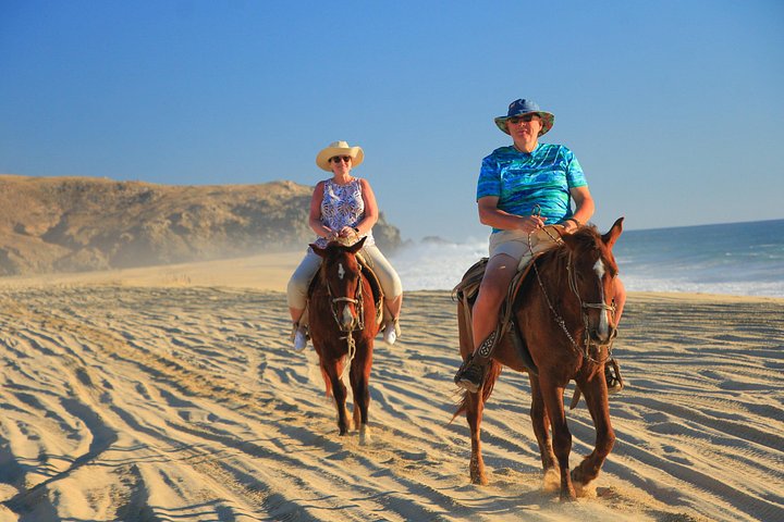 Paardrijtour op het strand in Cabo San Lucas met tequila proeverij, foto 23 | wizardtrip