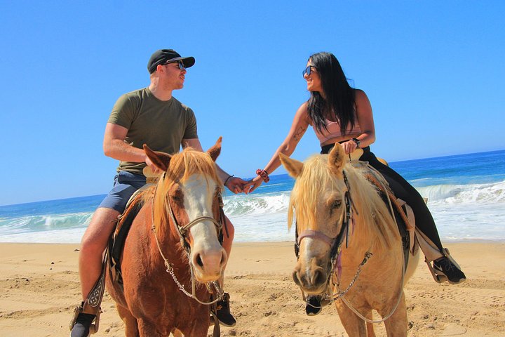 Paardrijtour op het strand in Cabo San Lucas met tequila proeverij, foto 24 | wizardtrip