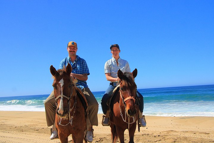 Paardrijtour op het strand in Cabo San Lucas met tequila proeverij, foto 25 | wizardtrip